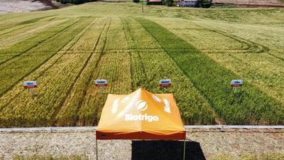 Dia de Campo Coprossel reúne produtores e técnicos em Rio Bonito do Iguaçu